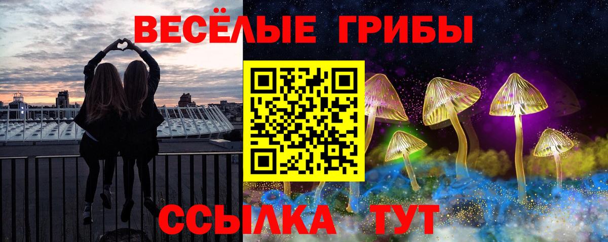 Галлюциногенные грибы Psilocybe Карабулак